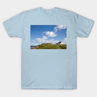 Rocky Island, Seaton Sluice T-Shirt